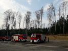  Ćwiczenia nt. pożaru lasu w Izdebkach