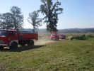  Ćwiczenia na kompleksie leśnym  Jabłonica Ruska-Ulucz foto: bryg. Krzysztof Folta